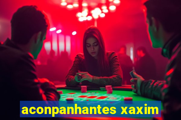 aconpanhantes xaxim